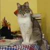 Отзыв от Таисия Титова